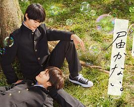 合肥seo网站优化公司