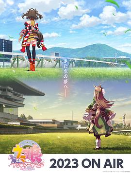 甘肃seo优化哪家强